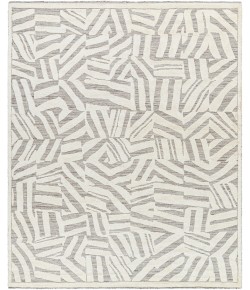 Surya Tunus TUN2314 Taupe Ivory Area Rug 6 ft. X 9 ft. Rectangle