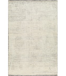 Surya Tunus TUN2316 Beige Taupe Area Rug 6 ft. X 9 ft. Rectangle