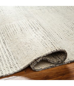 Surya Tunus TUN2316 Beige Taupe Area Rug 6 ft. X 9 ft. Rectangle
