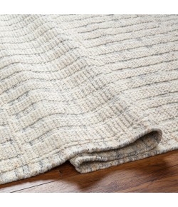Surya Tunus TUN2320 Ivory Light Beige Area Rug 6 ft. X 9 ft. Rectangle