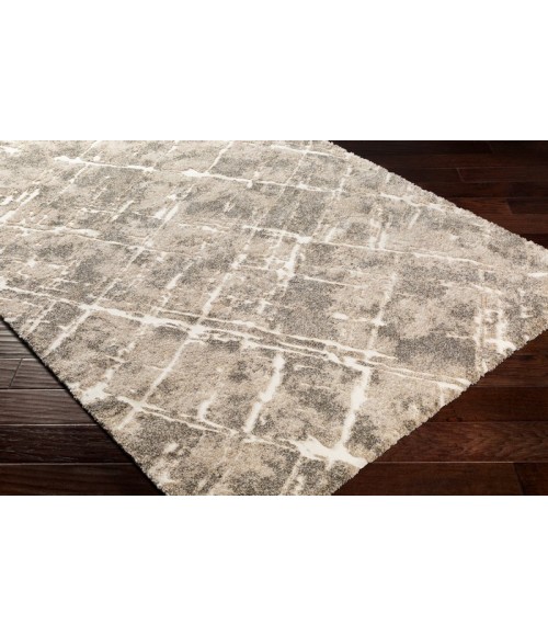 TUSCANY RUG Surya Tuscany TUS-2300 Area Rug