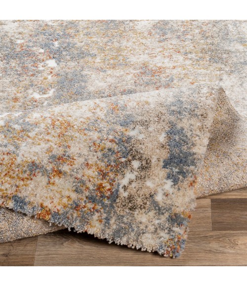 Livabliss Tuscany TUS-2303 Area Rug