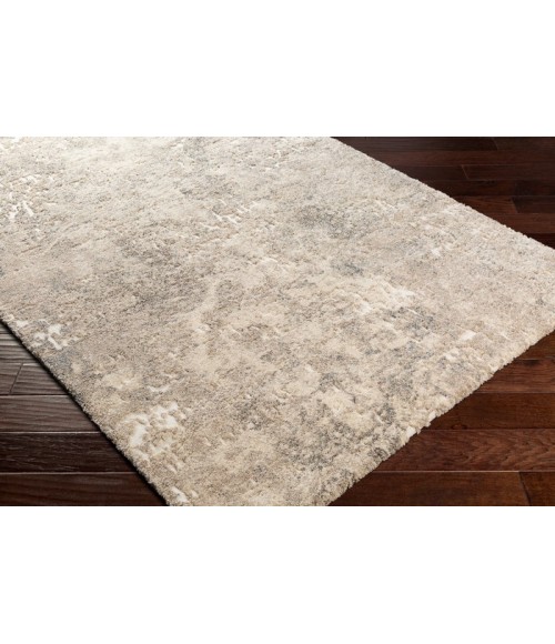 Livabliss Tuscany TUS-2304 Area Rug