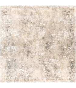 Surya Tuscany TUS2304 Cream Aqua Area Rug 7 ft. 10 in. Square