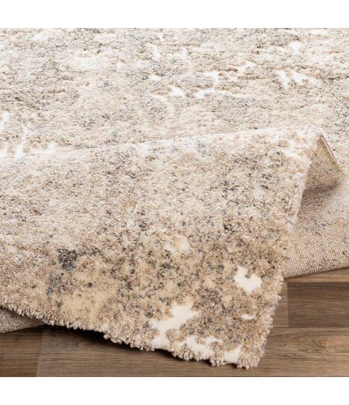 Livabliss Tuscany TUS-2304 Area Rug