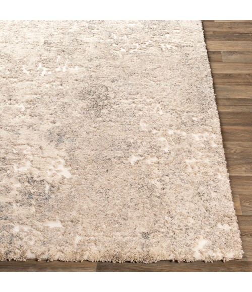 Livabliss Tuscany TUS-2304 Area Rug