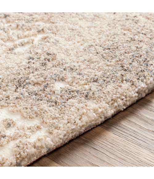 Livabliss Tuscany TUS-2304 Area Rug