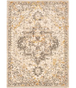 Surya Tuscany TUS2307 Metallic - Champagne Cream Area Rug 8 ft. 10 in. X 12 ft. 1 in. Rectangle