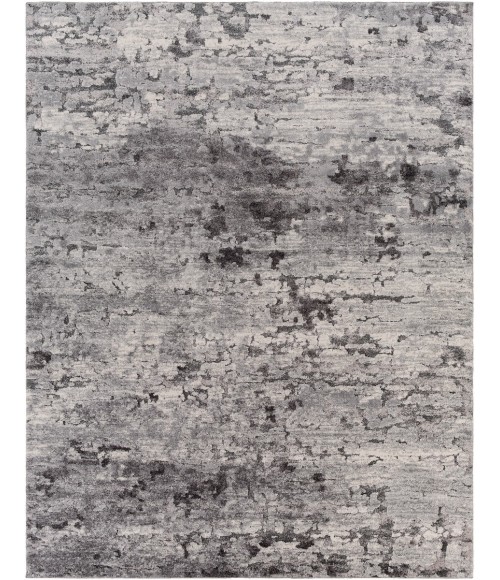 TUSCANY RUG Surya Tuscany TUS-2310 7 10 x 10 3 Rug