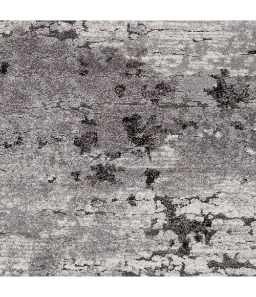 TUSCANY RUG Surya Tuscany TUS-2310 5 3 x 7 3 Rug