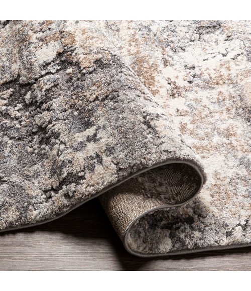 Surya Tuscany TUS-2311 2  x 3  Rug