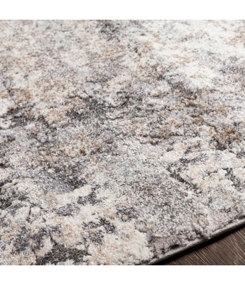 Surya Tuscany TUS-2311 2  x 3  Rug