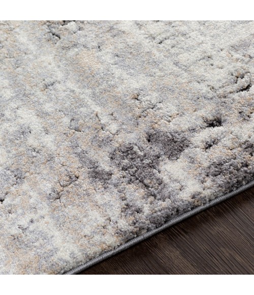 Surya Tuscany TUS-2312 2  x 3  Rug