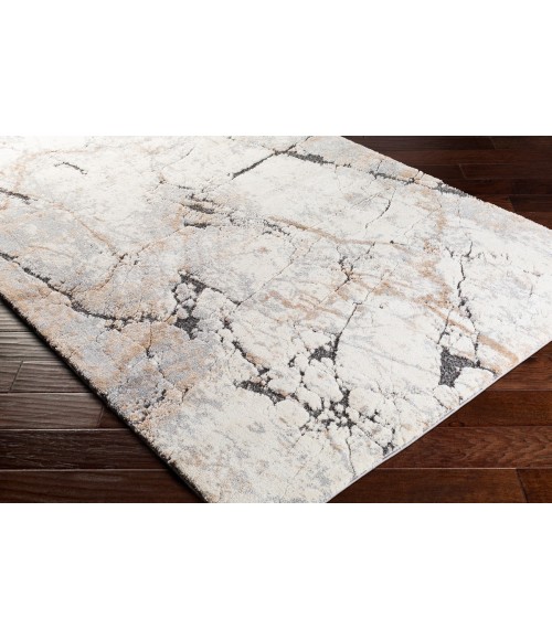 Surya Tuscany TUS-2314 4 3 x 5 7 Rug