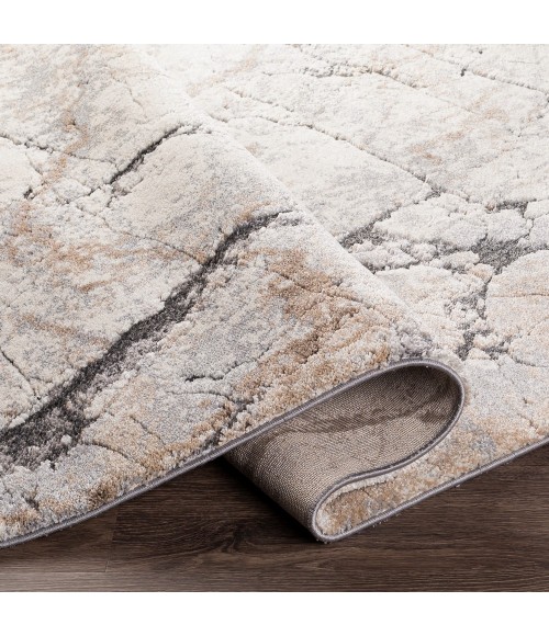 Surya Tuscany TUS-2314 4 3 x 5 7 Rug