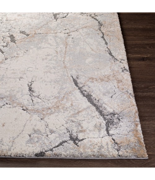 Surya Tuscany TUS-2314 4 3 x 5 7 Rug