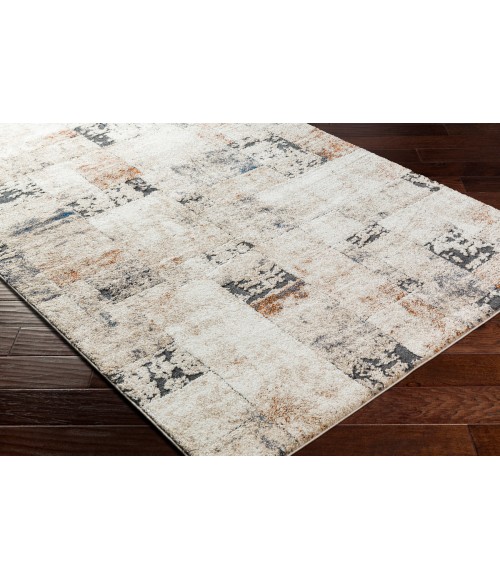 Surya Tuscany Rug TUS2342