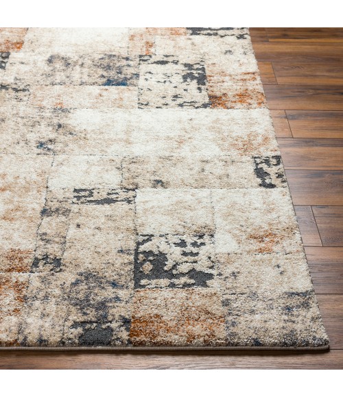 Surya Tuscany Rug TUS2342