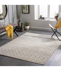 Surya Tevazu TVZ2388 Light Grey Beige Area Rug 6 ft. 7 in. X 9 ft. Rectangle