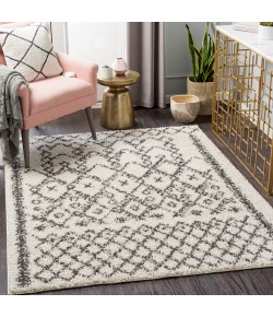 Livabliss Taza Shag TZS2301 Cream Charcoal Area Rug 5 ft. 2 in. X 7 ft. Rectangle