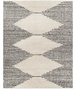 Livabliss Taza Shag TZS-2311 7 ft.10 in. x 10 ft. Rectangle Rug
