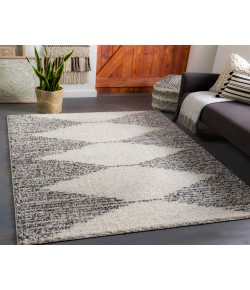 Livabliss Taza Shag TZS-2311 7 ft.10 in. x 10 ft. Rectangle Rug