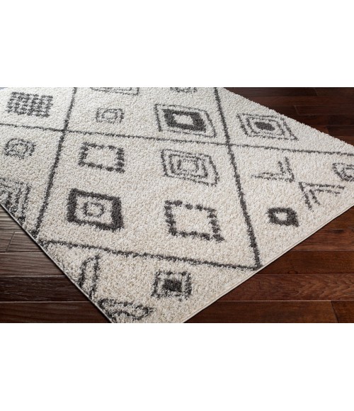 TAZA SHAG RUG Surya Taza shag TZS-2322 5 2 x 7 Rug