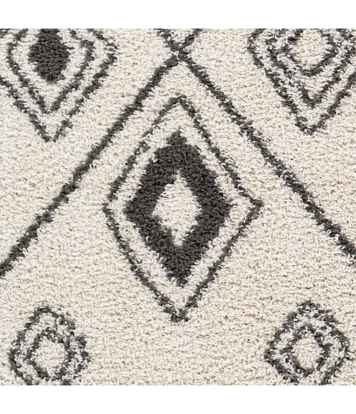 TAZA SHAG RUG Surya Taza shag TZS-2322 5 2 x 7 Rug