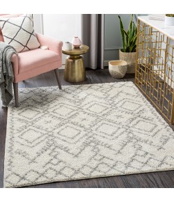 Livabliss Taza Shag TZS2326 Cream Gray Area Rug 5 ft. 2 in. X 7 ft. Rectangle