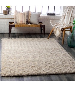 Surya Urban Shag USG2303 Cream Beige Area Rug 8 ft. 10 in. X 12 ft. Rectangle