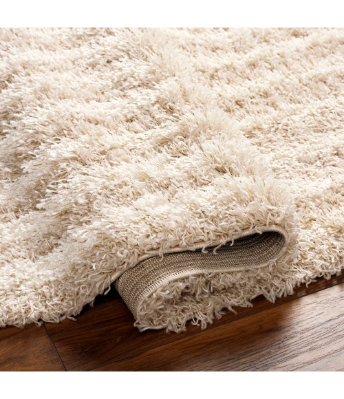 Livabliss Urban Shag Rug USG2315