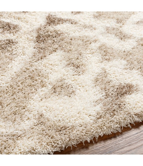 Livabliss Urban Shag Rug USG2323