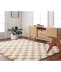 Urban Shag USG-2346 53" x 73" Machine Woven Rug