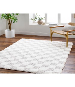 Livabliss Urban Shag USG-2349 2 ft. 7 in. x 7 ft. 3 in. Runner Rug
