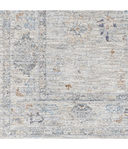 Surya Virginia VGN-2301 2  x 3 11 Rug