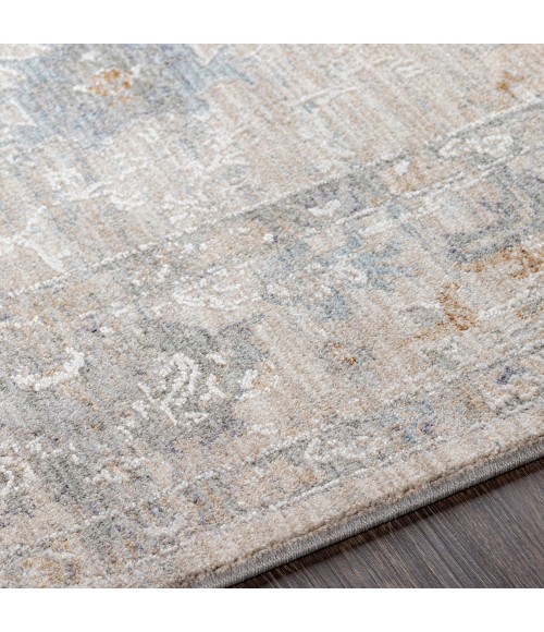 Surya Virginia VGN-2301 2  x 3 11 Rug