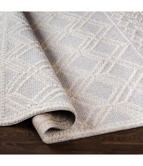 Valencia Area Rug Livabliss Valencia VLC-2315 2 x 3 Rug