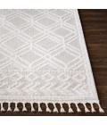Valencia Area Rug Livabliss Valencia VLC-2315 2 x 3 Rug