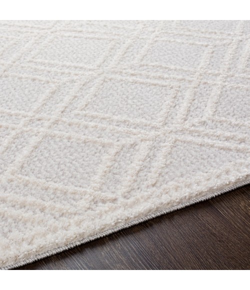 Valencia Area Rug Livabliss Valencia VLC-2315 2 x 3 Rug