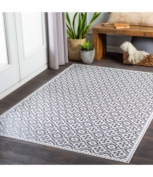 VINILO RUG Surya Vinilo VNL-2301 2 x 3 Rug