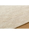 Ventura VNR-2301 2' x 3' Handmade Rug