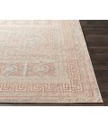 Venezia VNZ-2303 Rug Venezia VNZ-2303 3'11" x 5'7" Machine Woven Rug