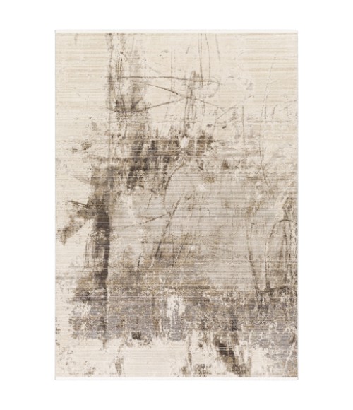 Surya Valour VOR-2305 2  x 3  Rug