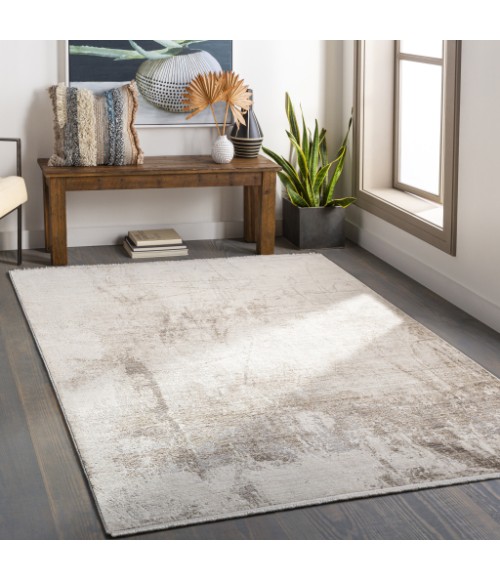 Surya Valour VOR-2305 2  x 3  Rug