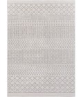 Surya Veranda VRD-2304 Area Rug