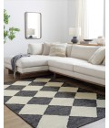 Antho VVAT-2300 8 x 10 Handmade Rug