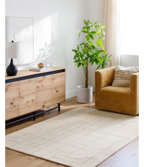 Ira VVIR-2301 8 x 10 Handmade Rug