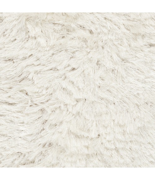 Surya Whisper WHI-1005-5x8 rug