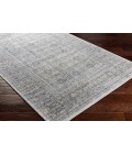 Surya Wembley WMY-2301 2  x 3  Rug