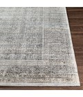 Surya Wembley WMY-2301 2  x 3  Rug